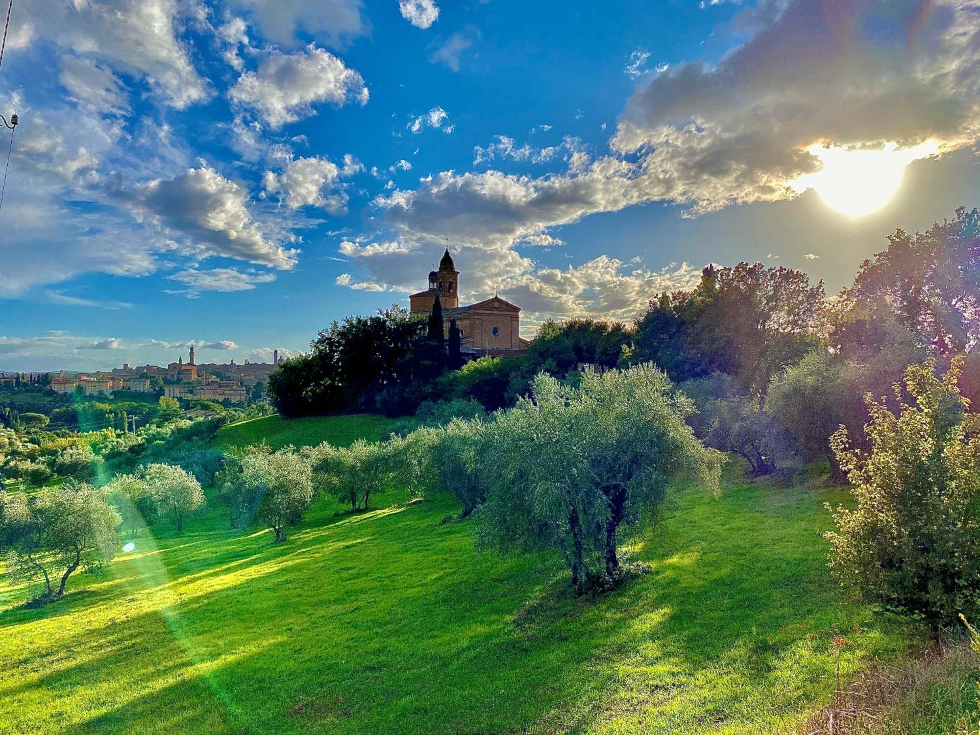 Palazzo Del Papa Country Suites Сієна Екстер'єр фото